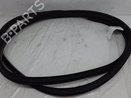 Rubber door seal RENAULT SCÉNIC IV (J9_) 1.7 Blue dCi 120 (J9A7, J9A8) 808321134R