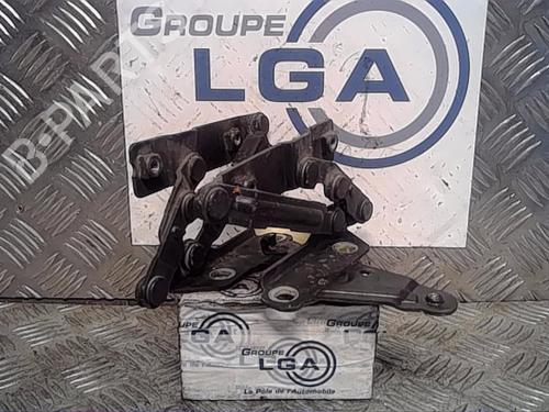 Used Hinge/Door check strap SEAT ALTEA (5P1) [2004-2015]  14554045