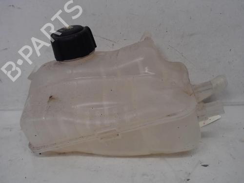 Expansion tank RENAULT MEGANE III Coupe (DZ0/1_) 2.0 R.S. 217100005R