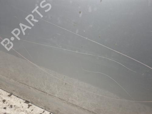 Left front door NISSAN PATHFINDER III (R51) 2.5 dCi 4WD | BP29016454C2 