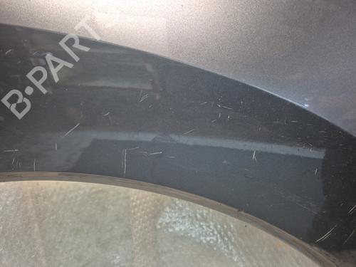 Left front fenders PEUGEOT 3008 I MPV (0U_) 1.6 HDi | BP30892491C41