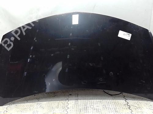 Used Hood RENAULT CLIO III (BR0/1, CR0/1) 1.5 dCi (C/BR0G, C/BR1G) (68 hp) 13834945