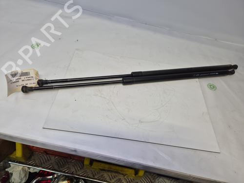 Gasdæmper bagklap RENAULT SCÉNIC III (JZ0/1_) 1.5 dCi (110 hp) 31029696