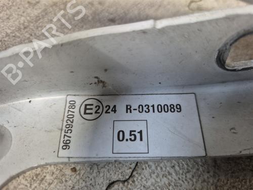 Hinge/Door check strap PEUGEOT 3008 I MPV (0U_)  | BP27856306C146 