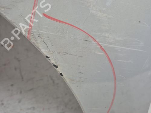 Left front fenders RENAULT KANGOO Express (FW0/1_)  | BP28613222C41 