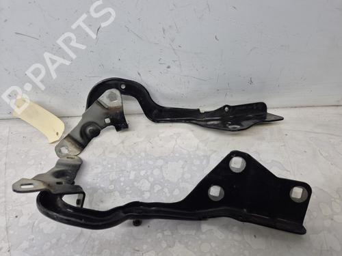 hingedoor-check-strap-renault-scenic-iv-j9_-2016-2017-2018-2019-2020-2021-2022-33727151 main image