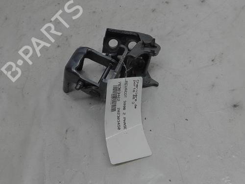 Hinge/Door check strap PEUGEOT 3008 II SUV (MC_, MR_, MJ_, M4_) 2.0 BlueHDi 180 | BP15821861C146