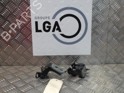 Used Hinge/Door check strap RENAULT KOLEOS I (HY_) 2.0 dCi (HY0K) (150 hp) 14549062