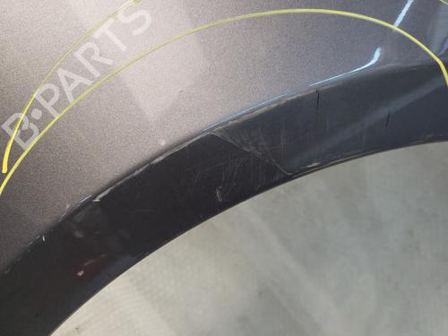 Forkjerm venstre RENAULT CLIO III (BR0/1, CR0/1) 1.2 16V (BR02, BR0J, BR11, CR02, CR0J, CR11) | BP30840470C41