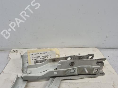 Used Hinge/Door check strap Hinge/Door check strap PEUGEOT EXPERT Van (VF3A_, VF3U_, VF3X_) 2.0 HDi 130 (128 hp) 33477183 33477183