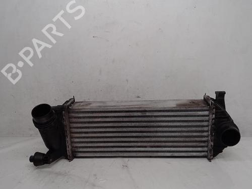 Intercooler MERCEDES-BENZ CITAN Box Body/MPV (W415) 109 CDI (415.601, 415.603, 415.605) | BP15135987M30 