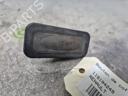 Pulsantiera RENAULT CLIO III (BR0/1, CR0/1) [2005-2014]  30766874