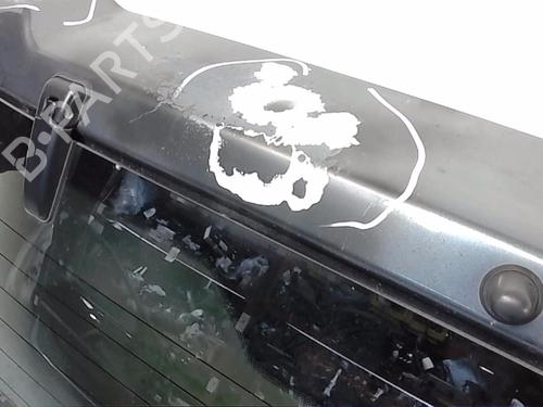 Used Tailgate Tailgate NISSAN PATHFINDER III (R51) 2.5 dCi 4WD (174 hp) 21210017 21210017
