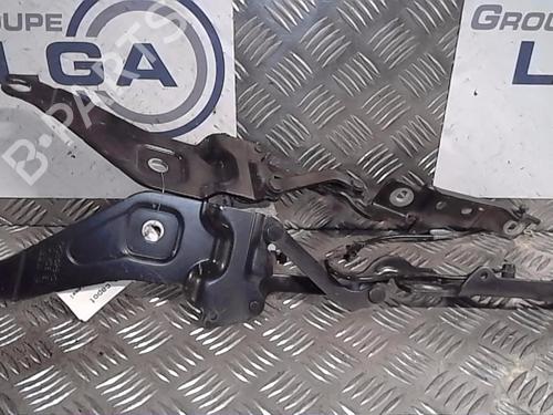 Dobradiça/Esticador de porta BMW X6 (E71, E72) xDrive 40 d (306 hp) 14551887