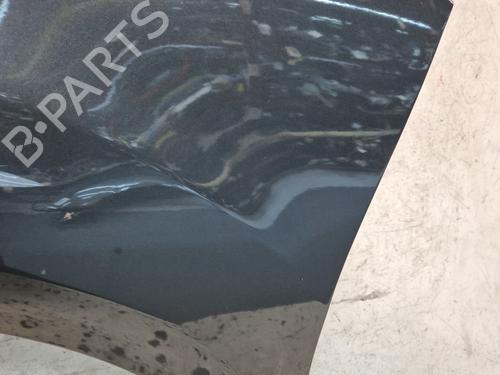 Left front fenders CITROËN C3 II (SC_) 1.4 HDi 70 (SC8HZC, SC8HR0, SC8HP4) | BP29758438C41
