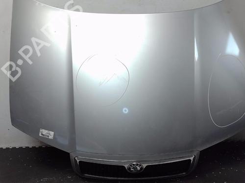 Hood SKODA FABIA I (6Y2) 1.9 TDI RS | BP19416949C1 