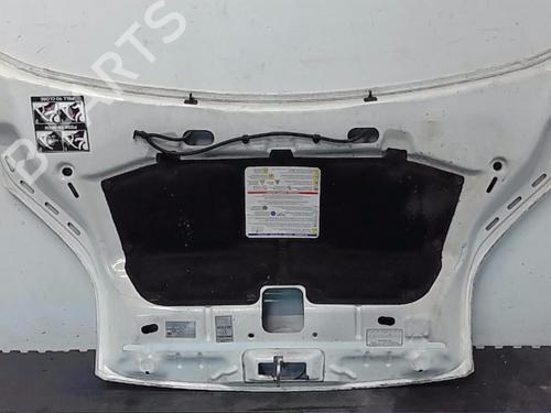 Hood FIAT FIORINO Box Body/MPV (225_)  | BP18018923C1 