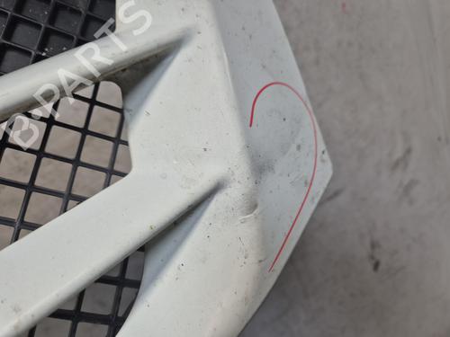 Grille IVECO DAILY IV Platform/Chassis | BP30139815C40