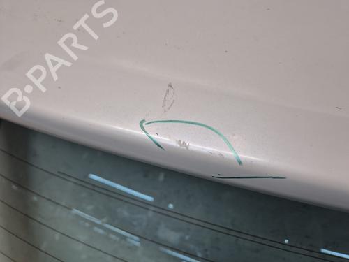 Tailgate RENAULT KOLEOS I (HY_) 2.0 dCi 4x4 (HY0K) | BP26162321C6 