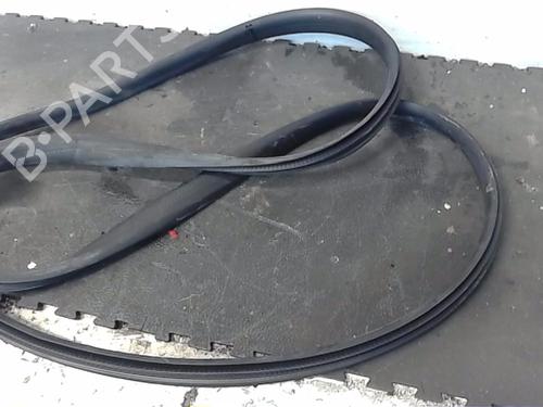 Used Rubber door seal RENAULT ARKANA I (LCM_, LDN_) 1.6 E-TECH 145 (LDMU) (143 hp) 22357783