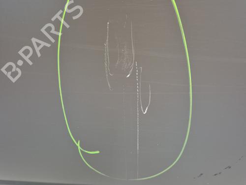 Left front door NISSAN TERRANO II (R20) 2.7 TDi 4WD | BP29414676C2 