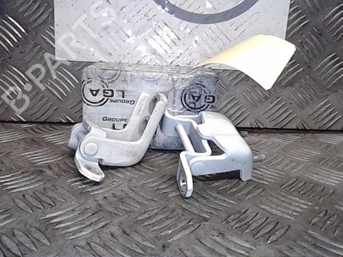 Used Hinge/Door check strap RENAULT KOLEOS II (HC_) 1.3 TCe 160 (HCN2) (158 hp) 14559112