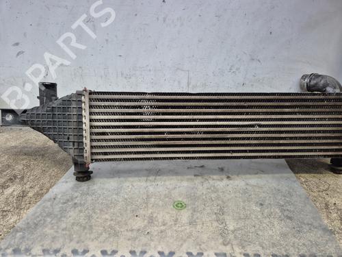 Intercooler NISSAN QASHQAI I (J10, NJ10) | BP29845982M30