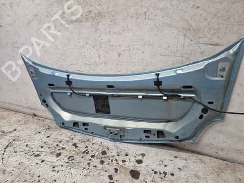 Hood RENAULT KANGOO BE BOP (KW0/1_)  | BP29845875C1 