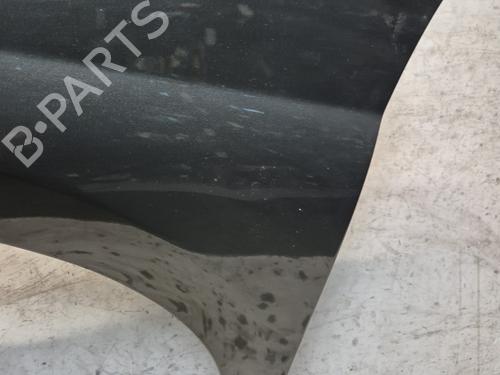Left front fenders PEUGEOT 207 (WA_, WC_) 1.6 16V VTi | BP29739251C41 