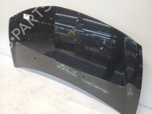 Hood RENAULT CLIO III (BR0/1, CR0/1) 1.5 dCi (C/BR0G, C/BR1G) | BP31324547C1