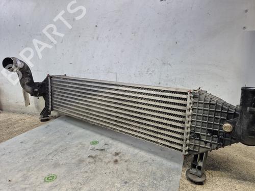 Intercooler NISSAN QASHQAI I (J10, NJ10) | BP29845982M30