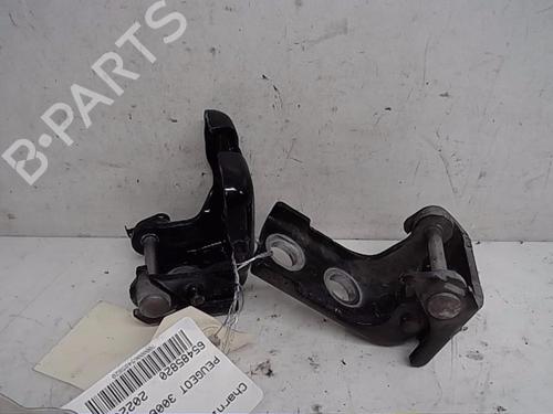 Used Hinge/Door check strap PEUGEOT 3008 I MPV (0U_) 1.6 HDi (112 hp) 14565126