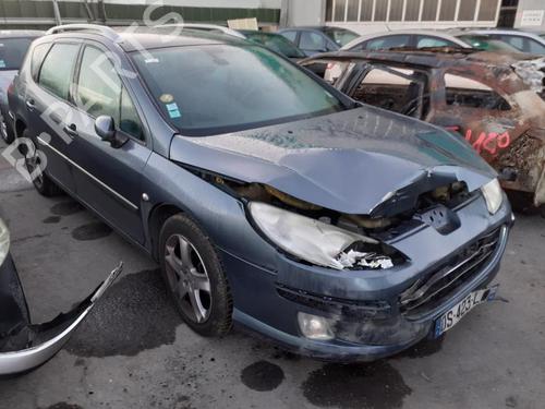 Interior roof light PEUGEOT 407 SW (6E_, 6D_) 2.0 HDi 135 | BP13855317I8