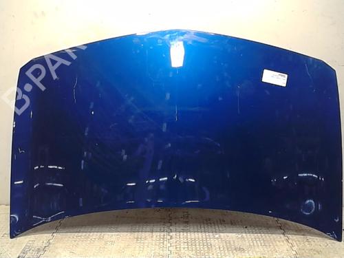 Hood RENAULT MEGANE II (BM0/1_, CM0/1_)  | BP13831210C1 