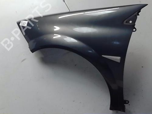 Used Left front fenders RENAULT MEGANE II (BM0/1_, CM0/1_) 2.0 dCi (BM1K, CM1K) (150 hp) 18151560