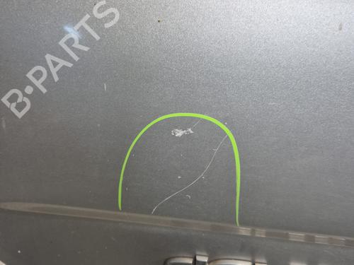 Left front door RENAULT TRAFIC II Van (FL)  | BP29195682C2 