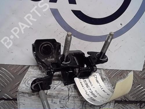 Used Hinge/Door check strap RENAULT SCÉNIC IV (J9_) [2016-2022]  14556568