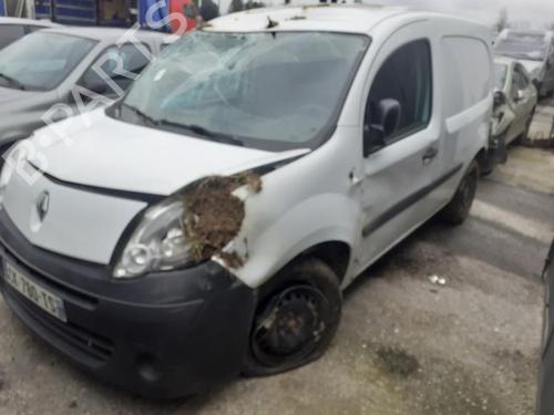 Hinge/Door check strap RENAULT KANGOO Express (FW0/1_)  | BP14568119C146 