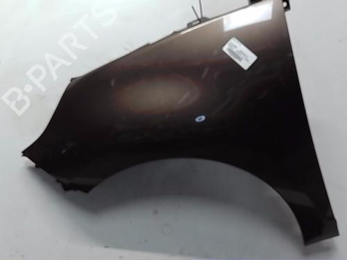 Used Left front fenders RENAULT SCÉNIC III (JZ0/1_) 1.5 dCi (106 hp) 19308339