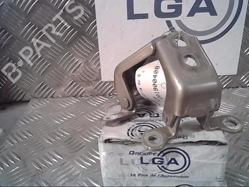 Used Hinge/Door check strap RENAULT KADJAR (HA_, HL_) 1.5 BLUE dCi 115 (HLA6) (116 hp) 14550495