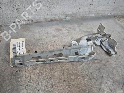 Hinge/Door check strap PEUGEOT 208 I (CA_, CC_)  | BP29155173C146