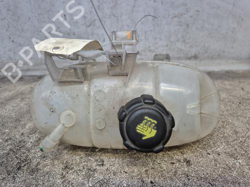 Used Expansion tank RENAULT TRAFIC III Van (FG_) 1.6 dCi 90 (FGME) (90 hp) 29195873