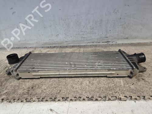 Intercooler RENAULT TRAFIC II Van (FL) | BP29215135M30