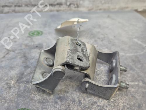 Hinge/Door check strap NISSAN QASHQAI I (J10, NJ10)  | BP30117534C146 