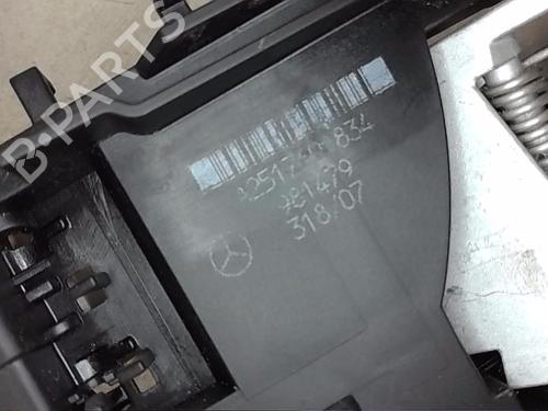 Front right exterior door handle MERCEDES-BENZ R-CLASS (W251, V251)  | BP19089125C129 