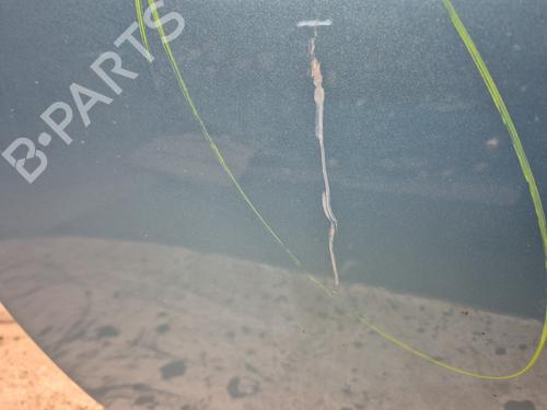 Left front door RENAULT ZOE (BFM_)  | BP29494259C2 