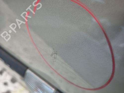 Left front door RENAULT CLIO III (BR0/1, CR0/1) 1.5 dCi (BR0H, CR0H, CR1S, BR1S) | BP30092271C2