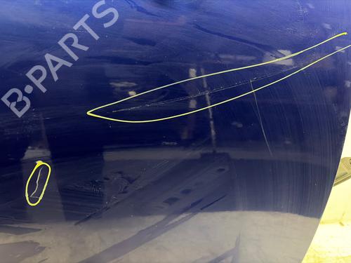 Right front door MINI MINI PACEMAN (R61) Cooper D | BP39083217C3 - Image 3