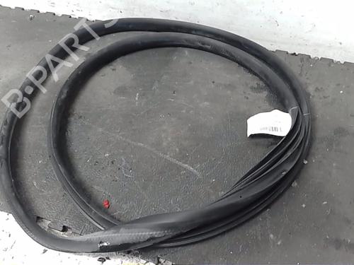 Used Rubber door seal RENAULT ARKANA I (LCM_, LDN_) 1.6 E-TECH 145 (LDMU) (143 hp) 22357784