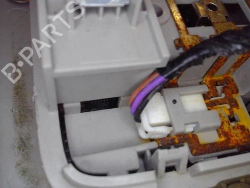 Interior roof light RENAULT KOLEOS I (HY_) 2.0 dCi (HY0K) | BP13865238I8